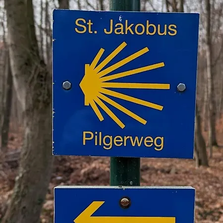 Ferienwohnung Barrierefrei - Privatparkplatz - Zentral Im Gruenen Magdeburg Exterior foto